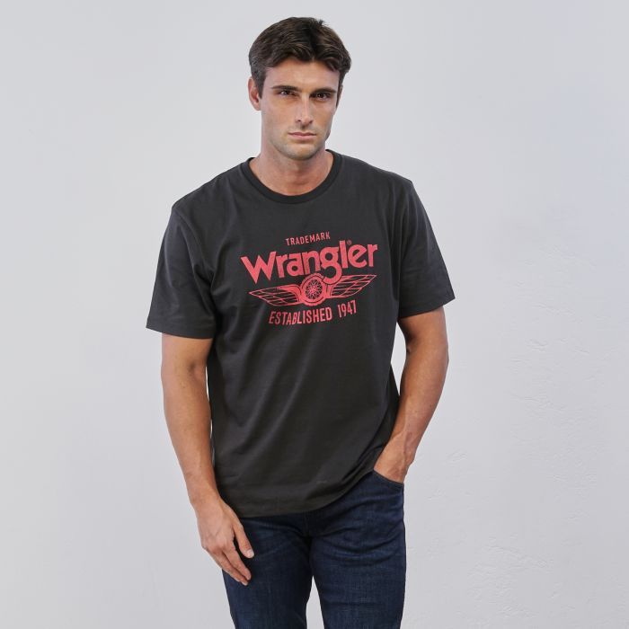 T-shirt maniche corte grigia da uomo in cotone